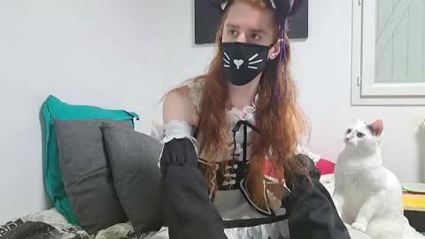 Neko online show from 26, 1, 2025