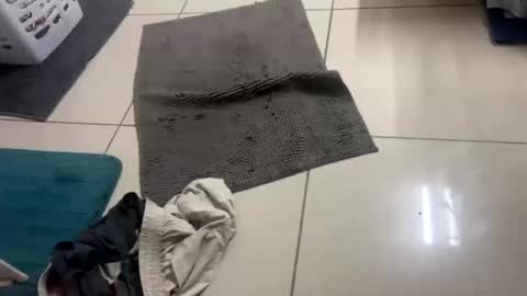 nesquick741960 online show from 22, 12, 2025