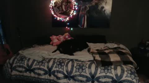 Snapshot of nettiedmonroe chatting on 8, 11, 2025 Nettie D Monroe online show from 8, 11, 2025