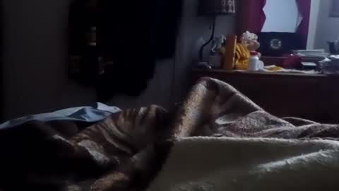 Snapshot of neverseentthatb4 chatting on 15, 1, 2026 Matt online show from 15, 1, 2026