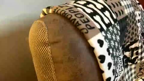 neverwinter44 online show from 9, 3, 2026