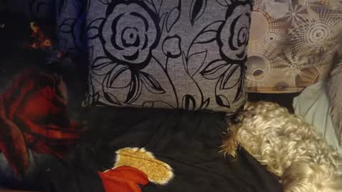 Snapshot of new_milf chatting on 6, 4, 2026 Lilly online show from 6, 4, 2026