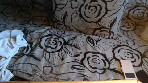 Snapshot of new_milf chatting on 8, 4, 2026 Lilly online show from 8, 4, 2026