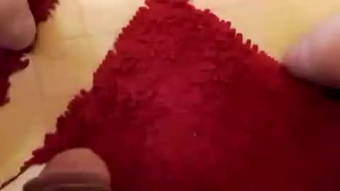 Snapshot of newbookwriter chatting on 7, 12, 2024 BookWriter online show from 7, 12, 2024