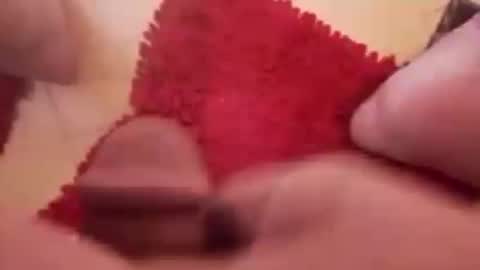 Snapshot of newbookwriter chatting on 20, 12, 2024 BookWriter online show from 20, 12, 2024