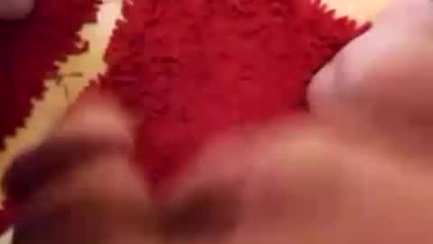 Snapshot of newbookwriter chatting on 31, 12, 2024 BookWriter online show from 31, 12, 2024