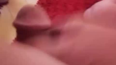 Snapshot of newbookwriter chatting on 14, 1, 2025 BookWriter online show from 14, 1, 2025