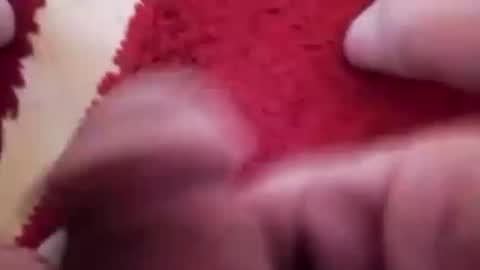 Snapshot of newbookwriter chatting on 20, 1, 2025 BookWriter online show from 20, 1, 2025