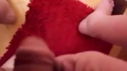 Snapshot of newbookwriter chatting on 22, 1, 2025 BookWriter online show from 22, 1, 2025