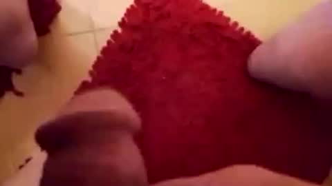 Snapshot of newbookwriter chatting on 1, 2, 2025 BookWriter online show from 1, 2, 2025