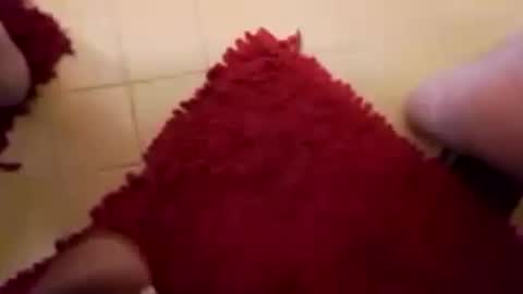 Snapshot of newbookwriter chatting on 15, 2, 2025 BookWriter online show from 15, 2, 2025