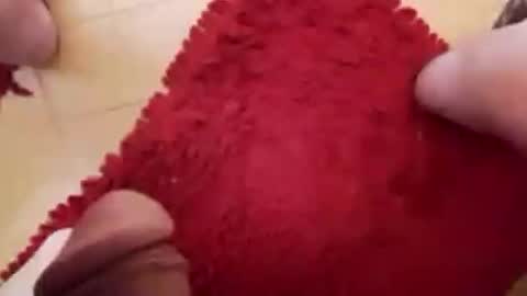 Snapshot of newbookwriter chatting on 23, 2, 2025 BookWriter online show from 23, 2, 2025