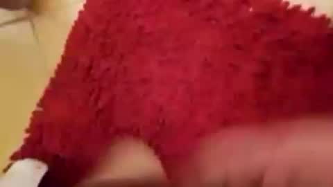 Snapshot of newbookwriter chatting on 14, 9, 2025 BookWriter online show from 14, 9, 2025