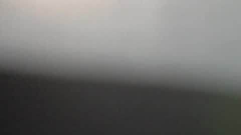 ni983 online show from 2, 2, 2026