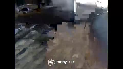 Nick online show from 20, 2, 2026