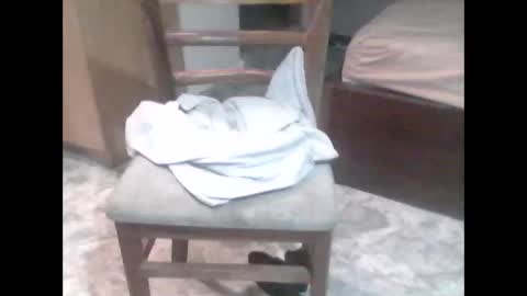 TheCock online show from 7, 2, 2026