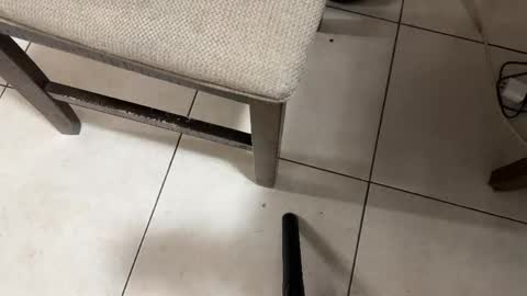 Snapshot of nicocar83pty chatting on 28, 2, 2026 Carlos Nico online show from 28, 2, 2026