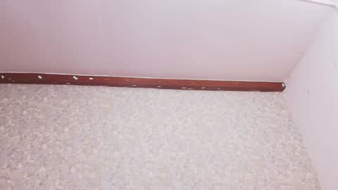 Nicol online show from 16, 12, 2024