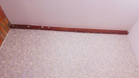 Nicol online show from 28, 12, 2024