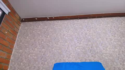 Nicol online show from 12, 1, 2025