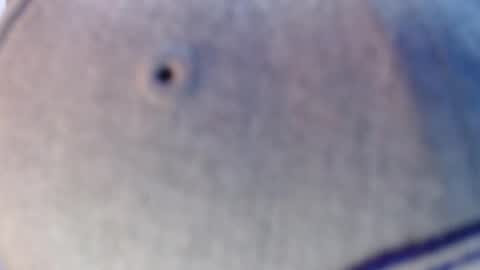 Snapshot of nicolas_torres99 chatting on 12, 12, 2024 nicolas online show from 12, 12, 2024