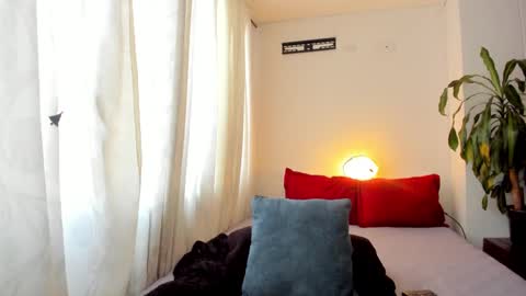 Nicole online show from 7, 12, 2024