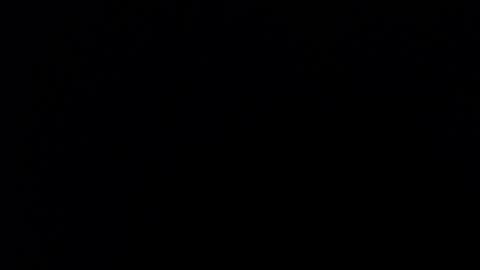 Nicole online show from 29, 9, 2025