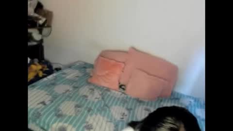 Snapshot of nicolefluffypussy chatting on 15, 2, 2026 Nicole jaymes online show from 15, 2, 2026