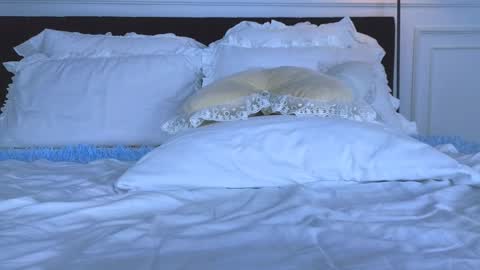 Nicole online show from 12, 3, 2026