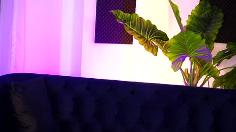 Sarah online show from 19, 12, 2024