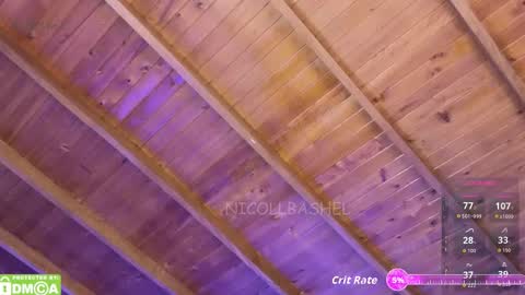 Snapshot of nicollbashel chatting on 3, 3, 2026 Nicoll Independent model online show from 3, 3, 2026