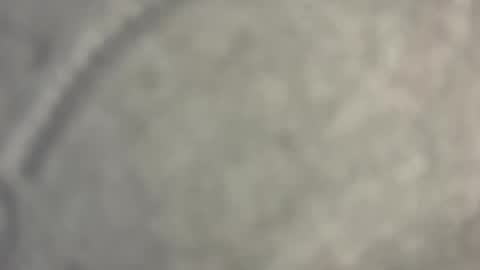 Snapshot of nicollbashel chatting on 15, 4, 2026 Nicoll Independent model online show from 15, 4, 2026