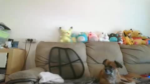 Brian and Logan Brogan online show from 19, 11, 2025