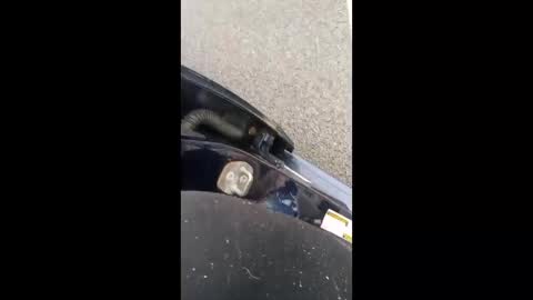 nikivega4u online show from 7, 3, 2026