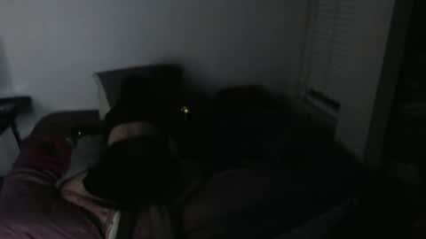 nikkigamer online show from 30, 11, 2025