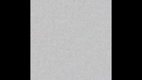 Nikki Ramone   online show from 3, 1, 2025