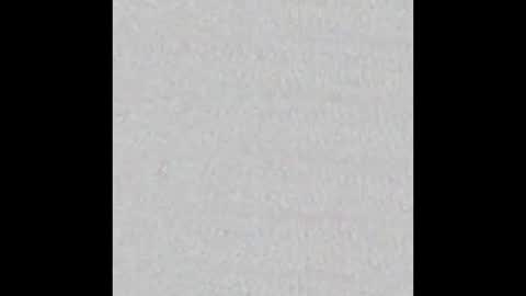 Nikki Ramone   online show from 4, 1, 2025