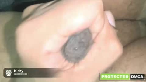 NikkynickGooner online show from 16, 12, 2025