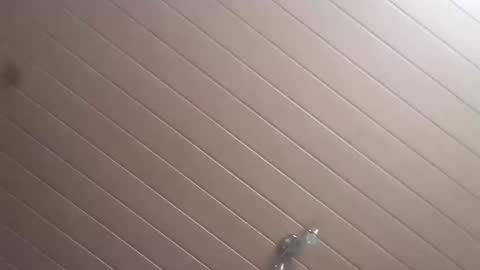 niko8787878 online show from 24, 10, 2025