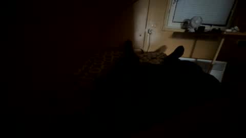 Snapshot of nikolay3032 chatting on 20, 9, 2025 Nikk online show from 20, 9, 2025