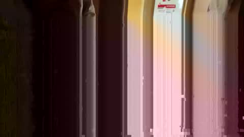 Nikolay online show from 11, 3, 2026