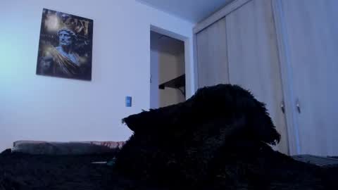 Catalina online show from 27, 2, 2025