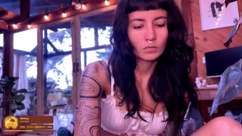 Nina.  online show from 1, 3, 2026