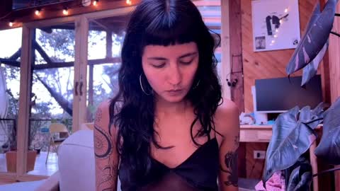 Nina.  online show from 4, 4, 2026