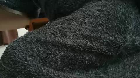 nineinchhard online show from 28, 10, 2025