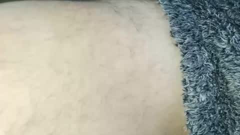 Snapshot of nineinchhard chatting on 2, 3, 2026 nineinchhard online show from 2, 3, 2026