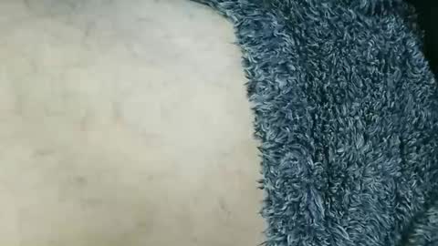 Snapshot of nineinchhard chatting on 15, 3, 2026 nineinchhard online show from 15, 3, 2026