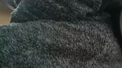 Snapshot of nineinchhard chatting on 1, 4, 2026 nineinchhard online show from 1, 4, 2026