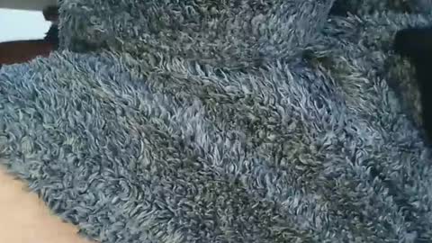 Snapshot of nineinchhard chatting on 6, 4, 2026 nineinchhard online show from 6, 4, 2026