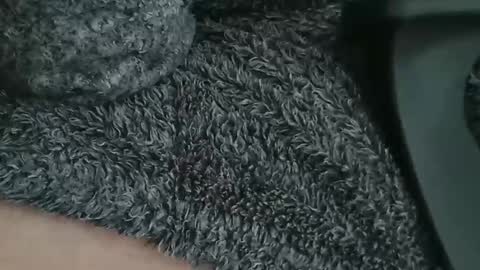 Snapshot of nineinchhard chatting on 9, 4, 2026 nineinchhard online show from 9, 4, 2026